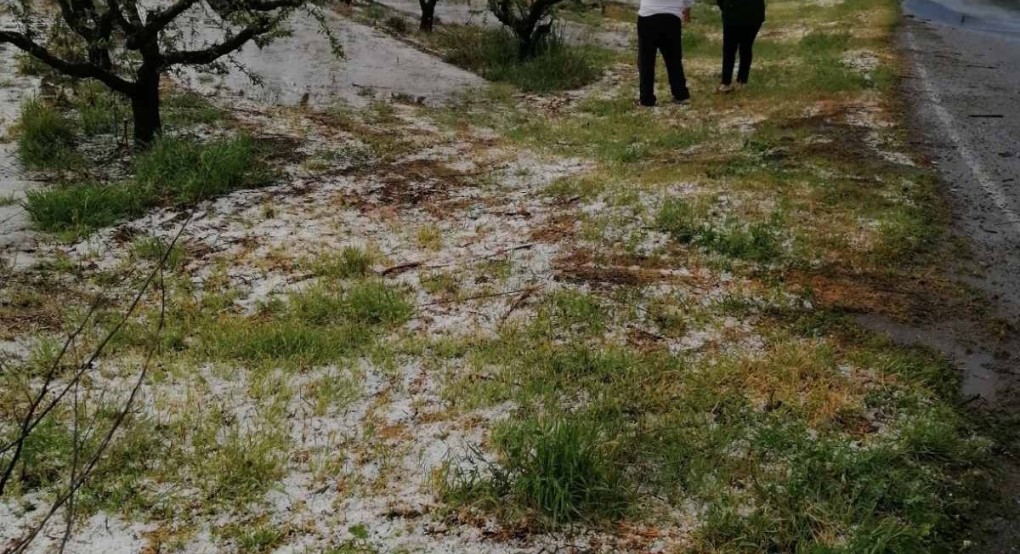 Χαλάζι κατακεραύνωσε περιοχές των Γιαννιτσών και της Σκύδρας Χαλάζι κατακεραύνωσε περιοχές των Γιαννιτσών και της Σκύδρας