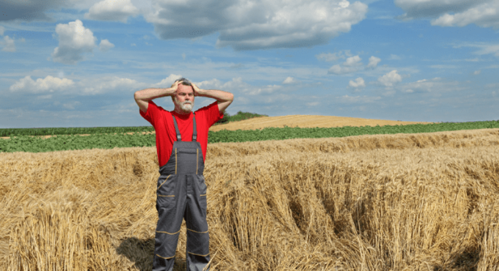 Αγρότες Πέλλας: Με πονοκέφαλο το χαλάζι και τον αυξημένο ΤΟΕΒ