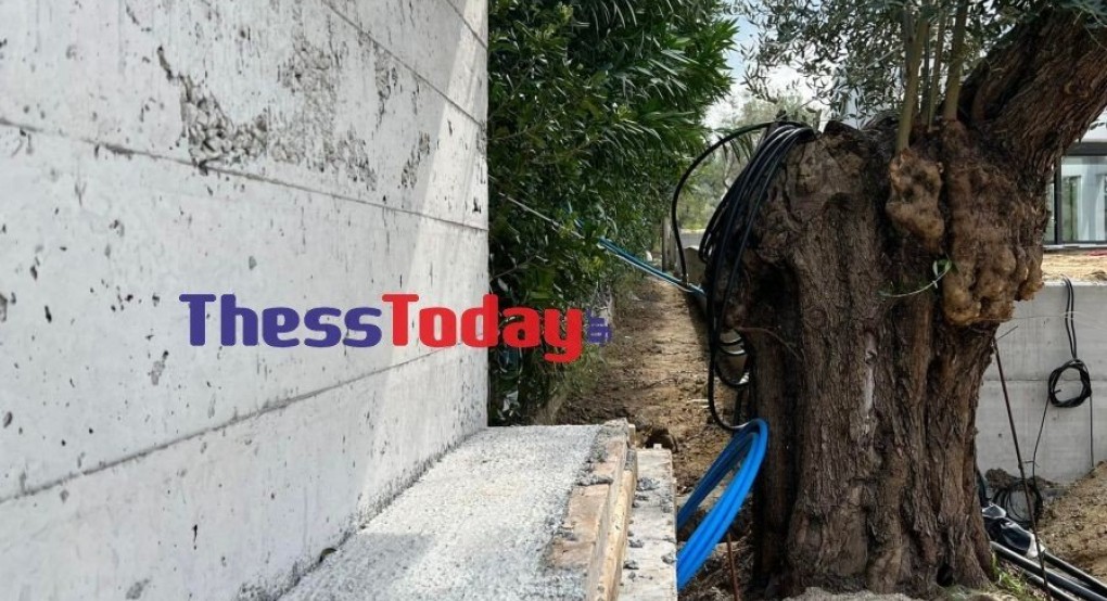 Χαλκιδική: Οικισμοί-«κλουβιά» χωρίς πρόσβαση στη θάλασσα Χαλκιδική: Οικισμοί-«κλουβιά» χωρίς πρόσβαση στη θάλασσα