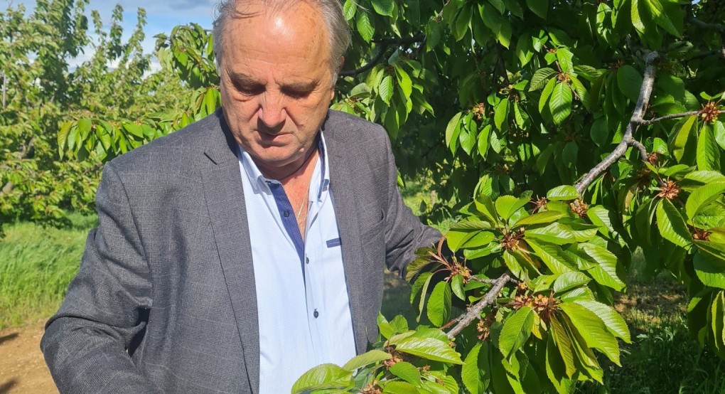 Δημήτρης Γιάννου: Το κεράσι χρειάζεται στήριξη, μίλησα με τον πρωθυπουργό Δημήτρης Γιάννου: Το κεράσι χρειάζεται στήριξη, μίλησα με τον πρωθυπουργό