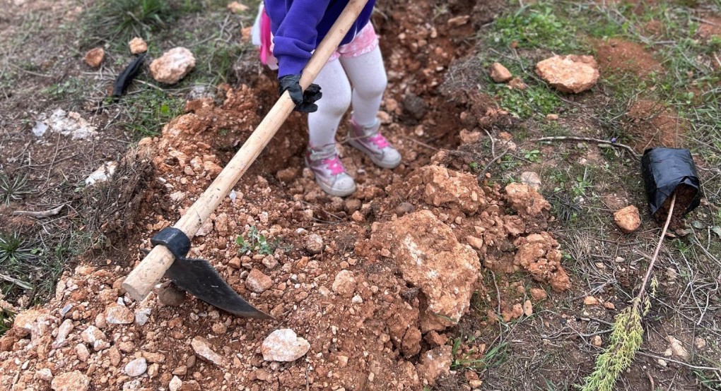 Δενδροφυτεύσεις και εκπαιδεύσεις από τη ΔΕΗ και τη We4all