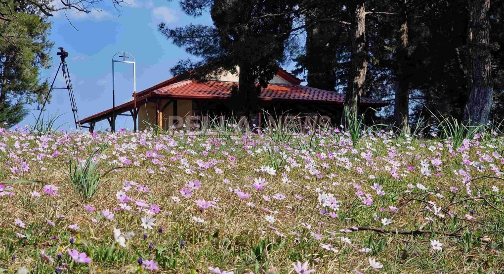 Το θαυματουργό εξωκλήσι της Ζωοδόχου Πηγής στη Νέα Ζωή (αφιέρωμα)