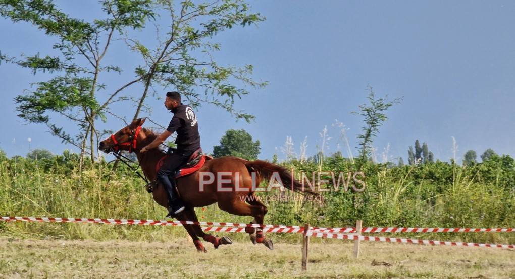 Αραβησσός: Μια πανέμορφη επίδειξη με τα άλογα