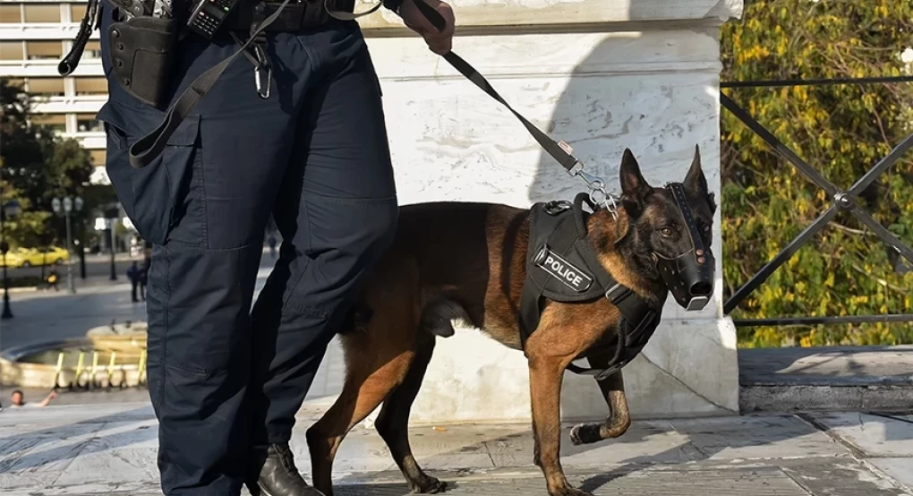 Ξεσπά ο αδερφός του αστυνομικού – χειριστή λαγωνικού Κ9 που αυτοκτόνησε: «Αυτός τον οδήγησε στον θάνατο» Ξεσπά ο αδερφός του αστυνομικού – χειριστή λαγωνικού Κ9 που αυτοκτόνησε: «Αυτός τον οδήγησε στον θάνατο»