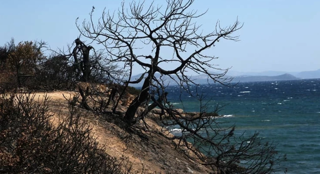 Φωτιά στο Μάτι: Διεκόπη η δίκη λόγω εκλογής της Ρένας Δούρου στη Βουλή – «Υπάρχει δικονομικό κώλυμα»