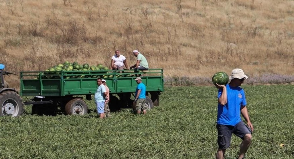 Αγρότες: Σύνταξη από τον ΟΓΑ με 15ετία στα 67 Αγρότες: Σύνταξη από τον ΟΓΑ με 15ετία στα 67