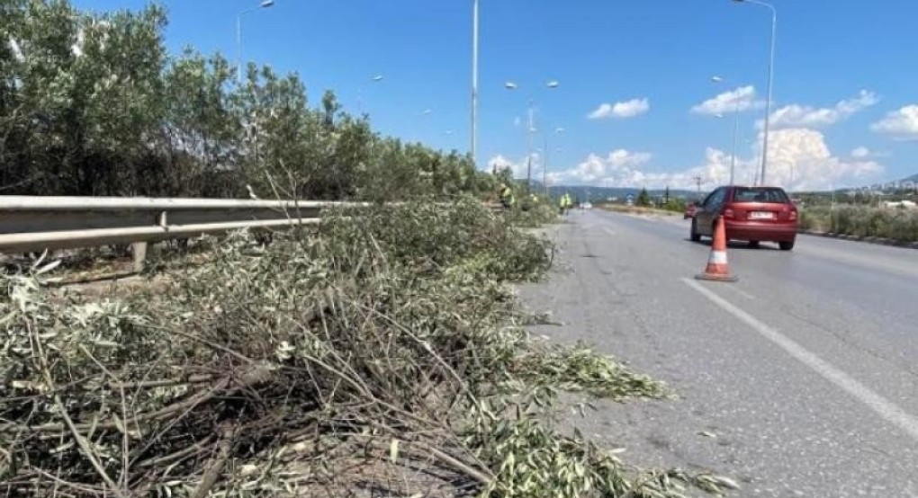 Εργασίες κοπής πρασίνου στην Περιφερειακή Οδό Θεσσαλονίκης από την ΠΚΜ Εργασίες κοπής πρασίνου στην Περιφερειακή Οδό Θεσσαλονίκης από την ΠΚΜ