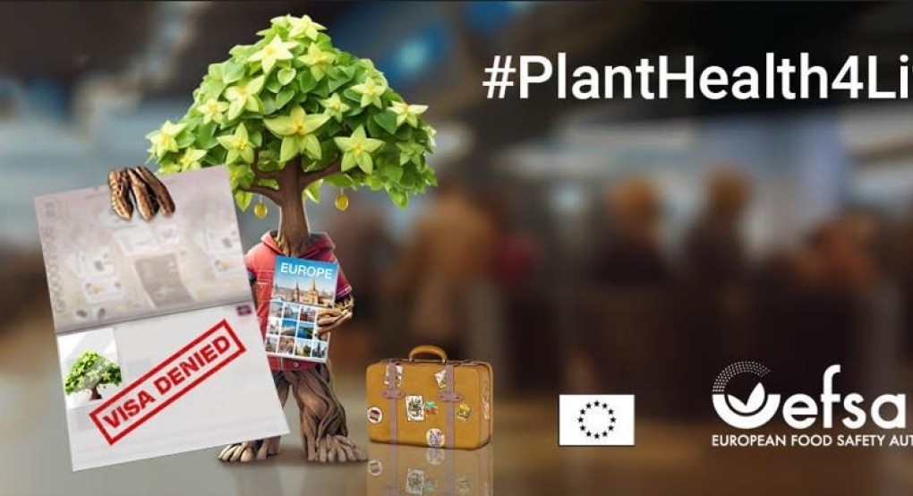 Το ΥΠΑΑΤ στην πανευρωπαϊκή εκστρατεία #PlantHealth4Life για την υγεία των φυτών