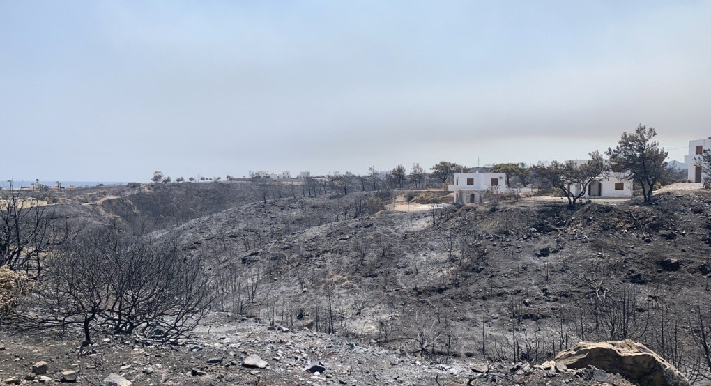 Διευκρινίσεις για τις ενισχύσεις σε παραγωγούς, για τις ζημίες από τις Πυρκαγιές 2023