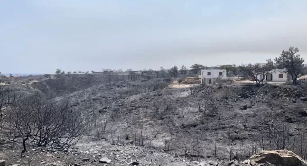 Λέκκας: 135.000 στρέμματα δασικής έκτασης κάηκαν στη Ρόδο
