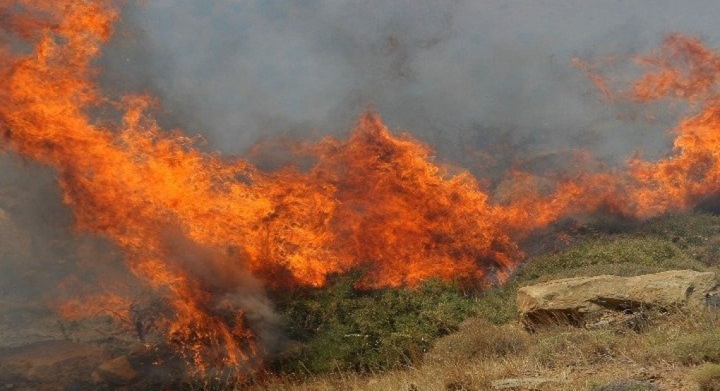 Πυρκαγιά σε δασική έκταση στο Άνω Βαθύ Σάμου