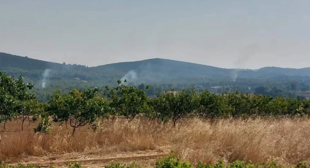 Φωτιές: Τέσσερις προσαγωγές για εμπρησμό σε Αυλώνα και Μενίδι