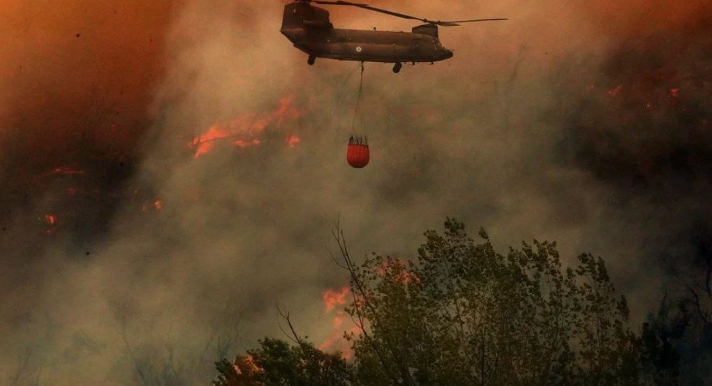 Τραγωδία στο δάσος της Δαδιάς, στον Έβρο, που καίγεται από χθες, καθώς εντοπίστηκαν 18 απανθρακωμένες σοροί μεταναστών