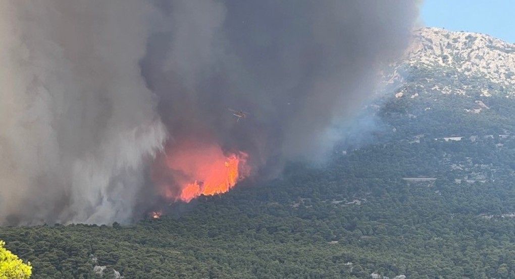 Δραματικές εξελίξεις – Οι φλόγες έφτασαν στον Εθνικό Δρυμό της Πάρνηθας