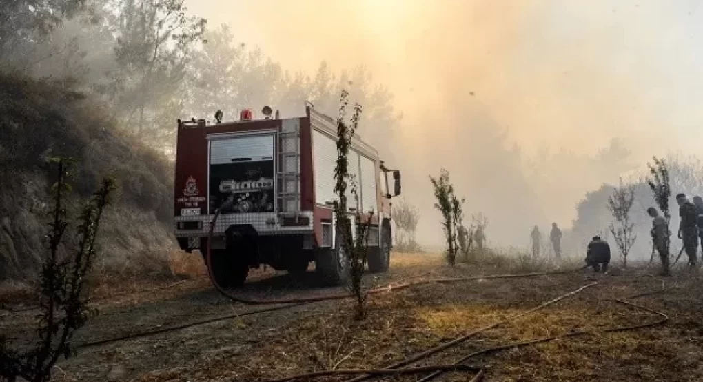 Φωτιά σε αγροτοδασική έκταση στην Κόκλα Άργους
