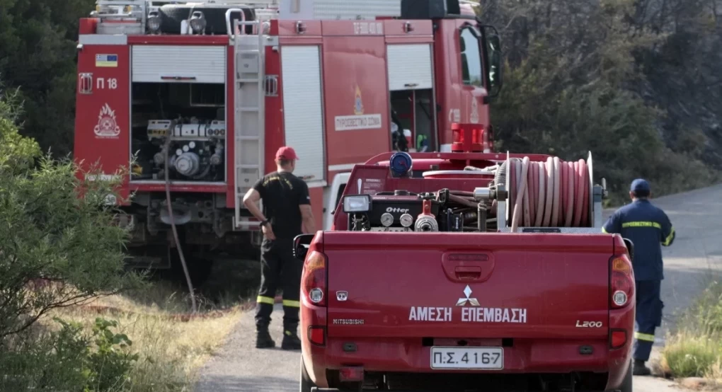 Φωτιά σε αγροτοδασική έκταση στην Κέρκυρα