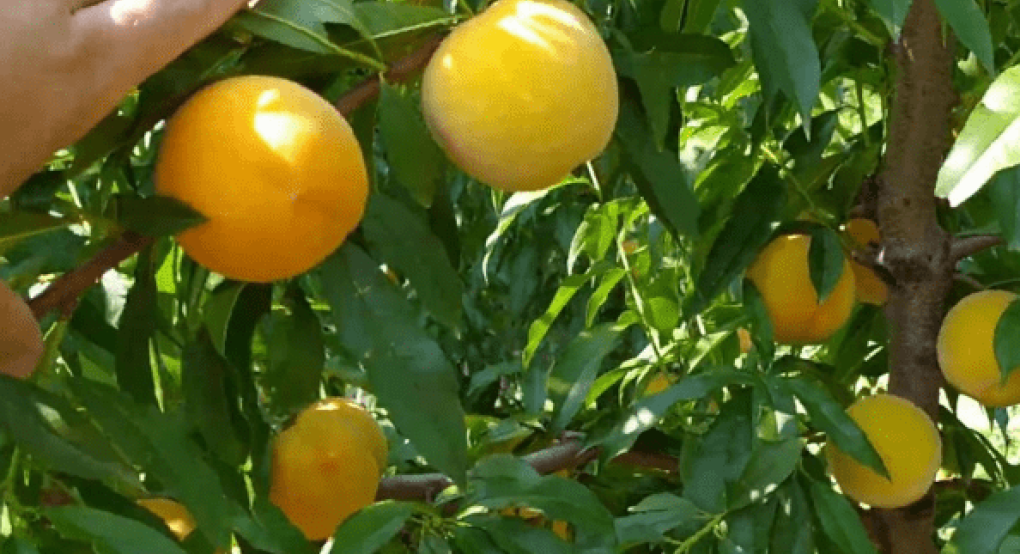 Με 39 λεπτά στο χέρι η Κατερίνα, στα ορεινά λογαριάζουν μέχρι 50 σε Everts Με 39 λεπτά στο χέρι η Κατερίνα, στα ορεινά λογαριάζουν μέχρι 50 σε Everts