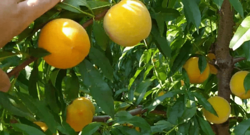 Με 39 λεπτά στο χέρι η Κατερίνα, στα ορεινά λογαριάζουν μέχρι 50 σε Everts