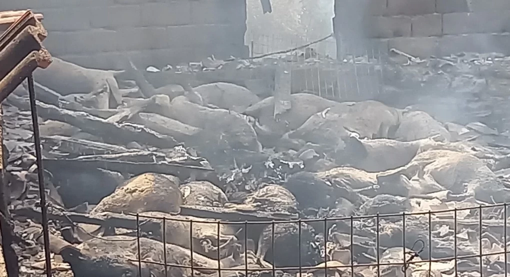 Με απόφαση Αυγενάκη - Λυκουρέντζου απαλλάσσονται από εκτιμητικά τέλη πυρόπληκτοι κτηνοτρόφοι Με απόφαση Αυγενάκη - Λυκουρέντζου απαλλάσσονται από εκτιμητικά τέλη πυρόπληκτοι κτηνοτρόφοι