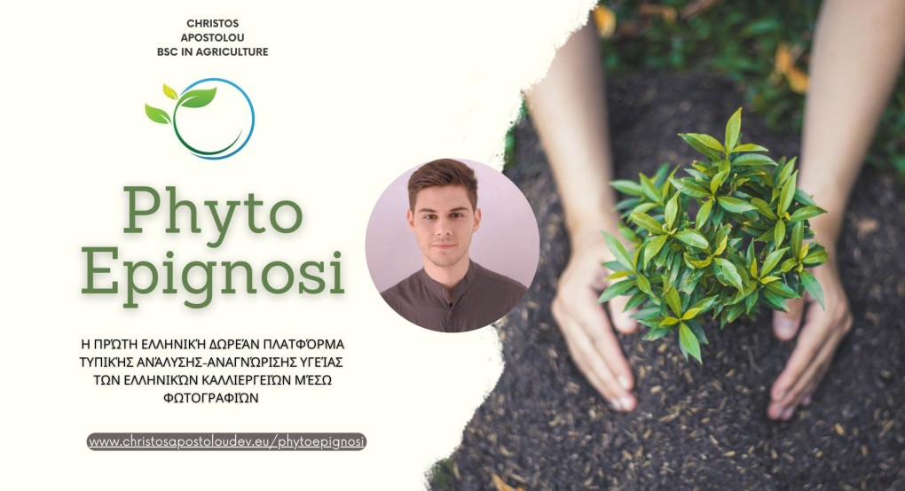 PhytoEpignosi– Η πρώτη Ελληνική δωρεάν πλατφόρμα που οι αγρότες μπορούν να ελέγξουν την τυπική υγεία των καλλιεργειών τους!