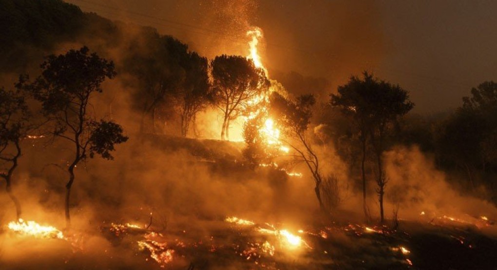 Εικόνες που προκαλούν θλίψη: Το «πριν» και το «μετά» της καταστροφικής πυρκαγιάς στη Δαδιά