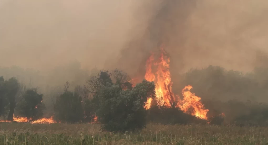 Απαλλαγή από ΕΝΦΙΑ, ρύθμιση και αναστολή ασφαλιστικών εισφορών -Τα 12+1 μέτρα για τους πυρόπληκτους του Έβρου