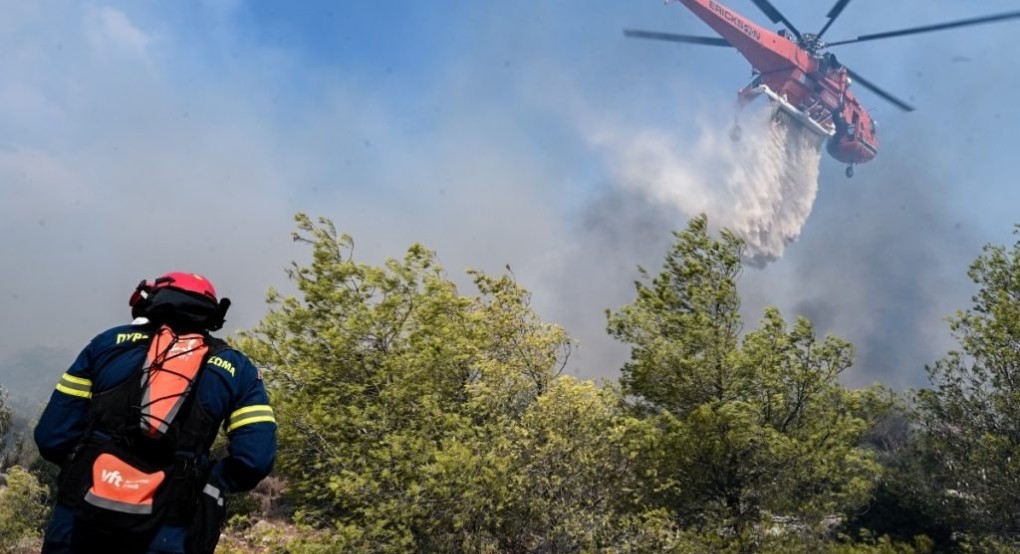 Αναδασώσεις άμεσα και αντιδιαβρωτικά έργα σε Πάρνηθα και Εβρο