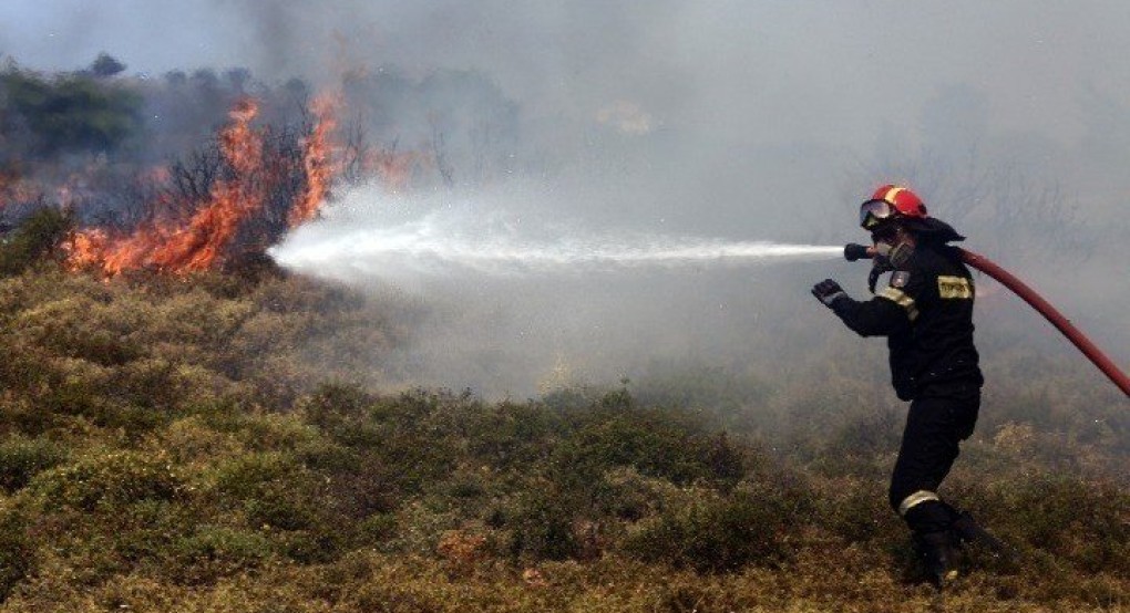 Φωτιά σε δασική περιοχή στο Αηδονοχώρι Σερρών