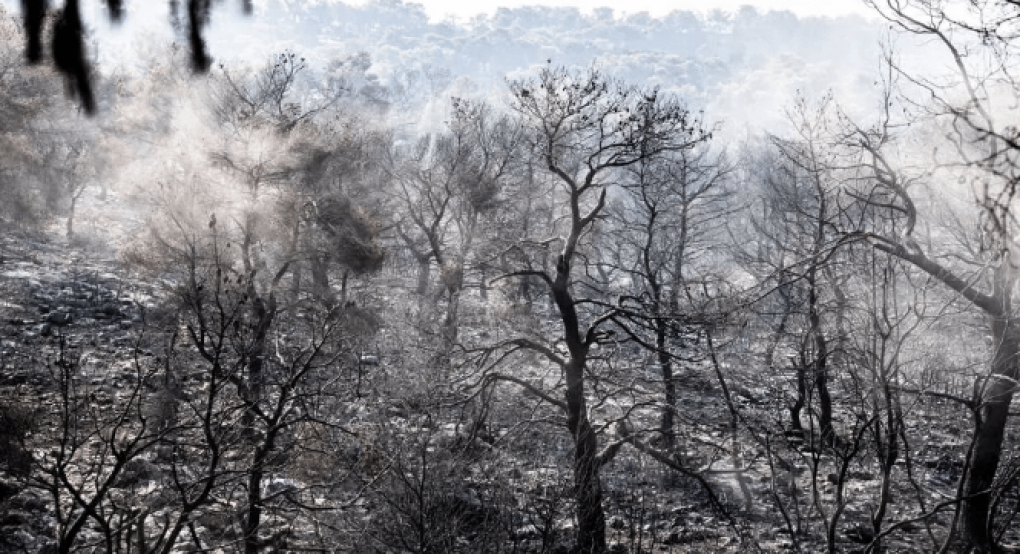 Κλείνει με 1,7 εκατ. καμένα στρέμματα ο κύκλος των καλοκαιρινών πυρκαγιών