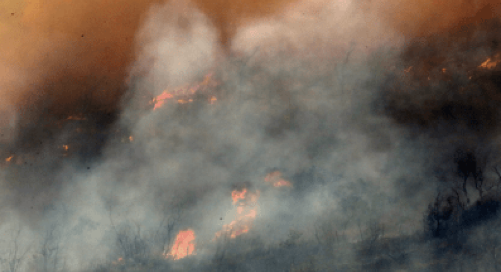 Φωτιά στον Έβρο: Μήνυμα 112 για εκκένωση της Λευκίμμης προς Τυχερό
