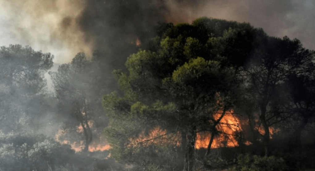 Ξηρή καταιγίδα : Το καιρικό φαινόμενο που προκαλεί πυρκαγιές Ξηρή καταιγίδα : Το καιρικό φαινόμενο που προκαλεί πυρκαγιές