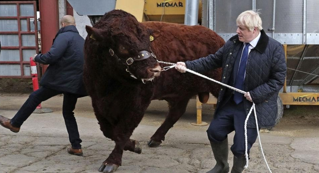 Οδηγός επιβίωσης σε ένα άτακτο Brexit