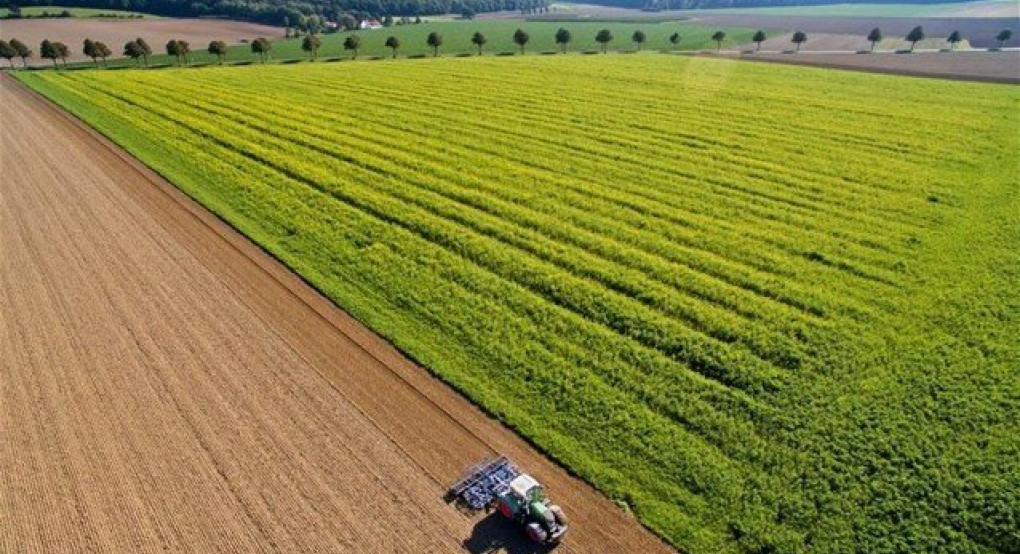 Ιδρύεται τμήμα πρωτογενούς τομέα σε κατά τόπους Επιμελητήρια
