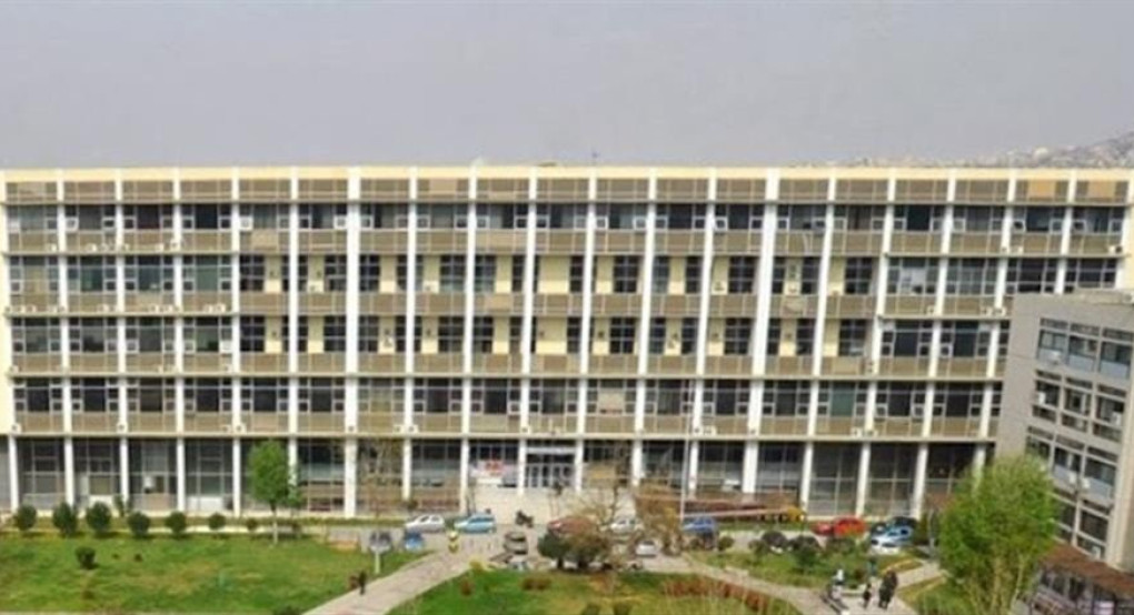 Μία γάτα... ευθύνεται για την “παρέλαση” ψύλλων στο ΑΠΘ