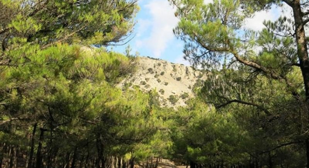 Ενημέρωση για την ανάκληση των Αποφάσεων του Αντιπεριφερειάρχη Π.Ε. Ημαθίας περί απαγόρευσης κυκλοφορίας στις περιοχές ευθύνης του Δασαρχείου Βέροιας και του Δασαρχείου Νάουσας Ενημέρωση για την ανάκληση των Αποφάσεων του Αντιπεριφερειάρχη Π.Ε. Ημαθίας περί απαγόρευσης κυκλοφορίας στις περιοχές ευθύνης του Δασαρχείου Βέροιας και του Δασαρχείου Νάουσας