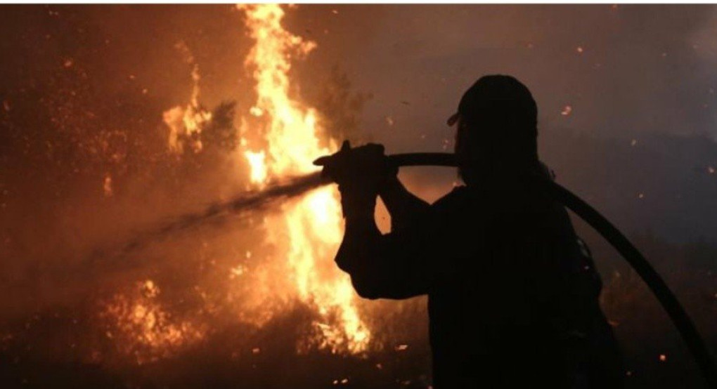 Φωτιά στην Εύβοια 