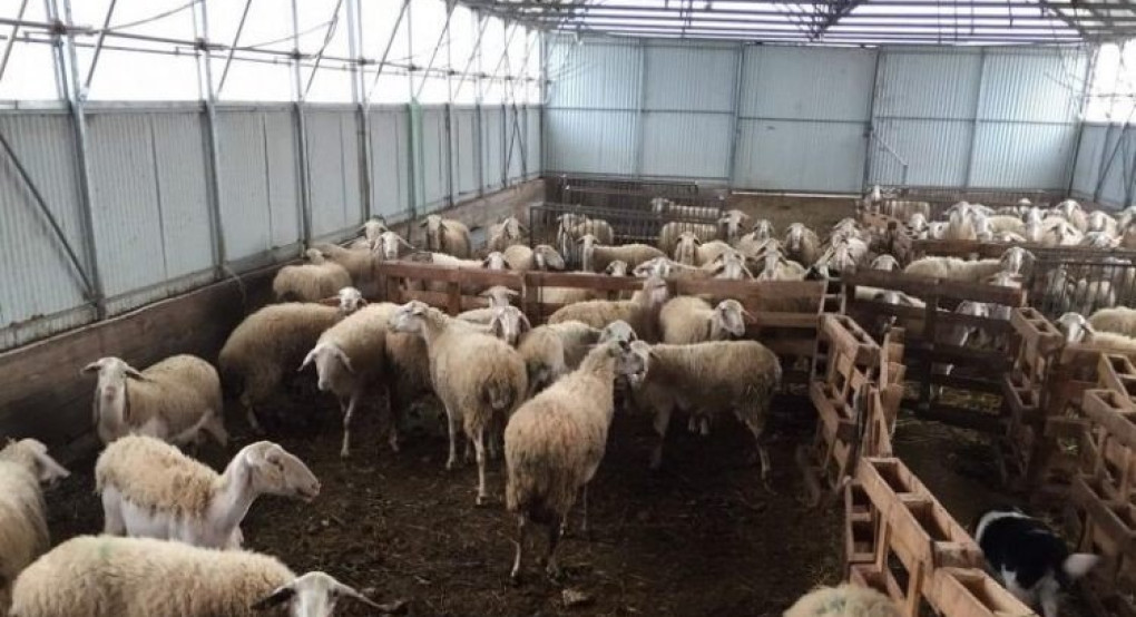 Ινστιτούτο Παραλίμνης: εκδήλωση των στόχων F o r a g e 4 C l i m a t e στις 14 Οκτωβρίου