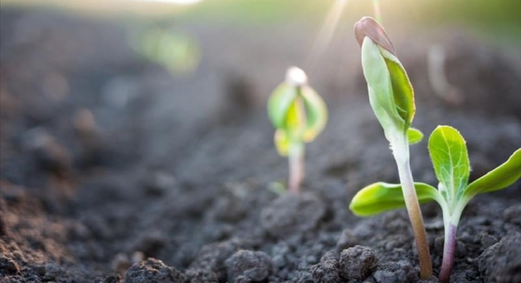 70 εκατομμύρια ευρώ για 5.000 μικροκαλλιεργητές σε ολόκληρη τη χώρα