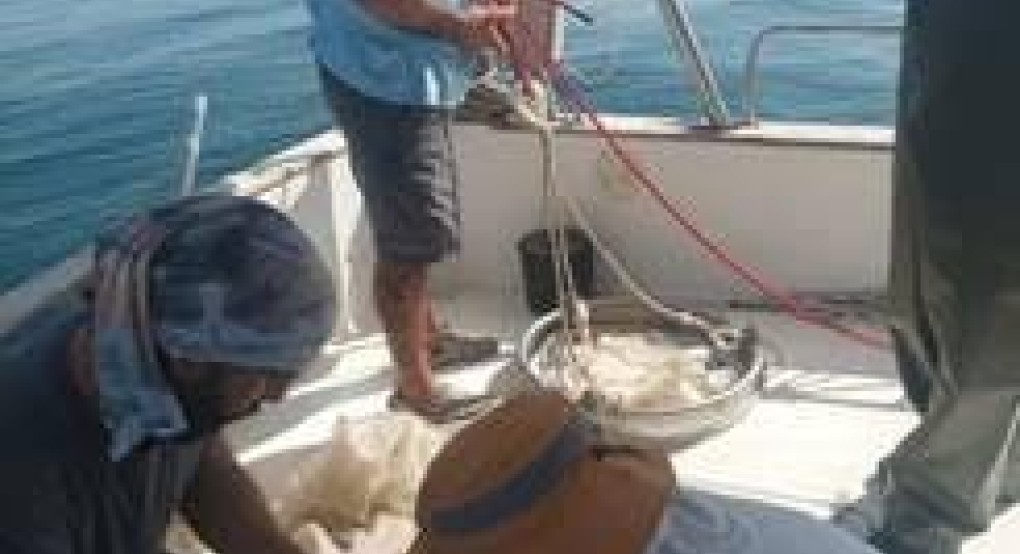 Τα συμπεράσματα του ΙΝΑΛΕ καταρρίπτουν αντιεπιστημονικές εκτιμήσεις και fakenews για τον Παγασητικό κόλπο Τα συμπεράσματα του ΙΝΑΛΕ καταρρίπτουν αντιεπιστημονικές εκτιμήσεις και fakenews για τον Παγασητικό κόλπο