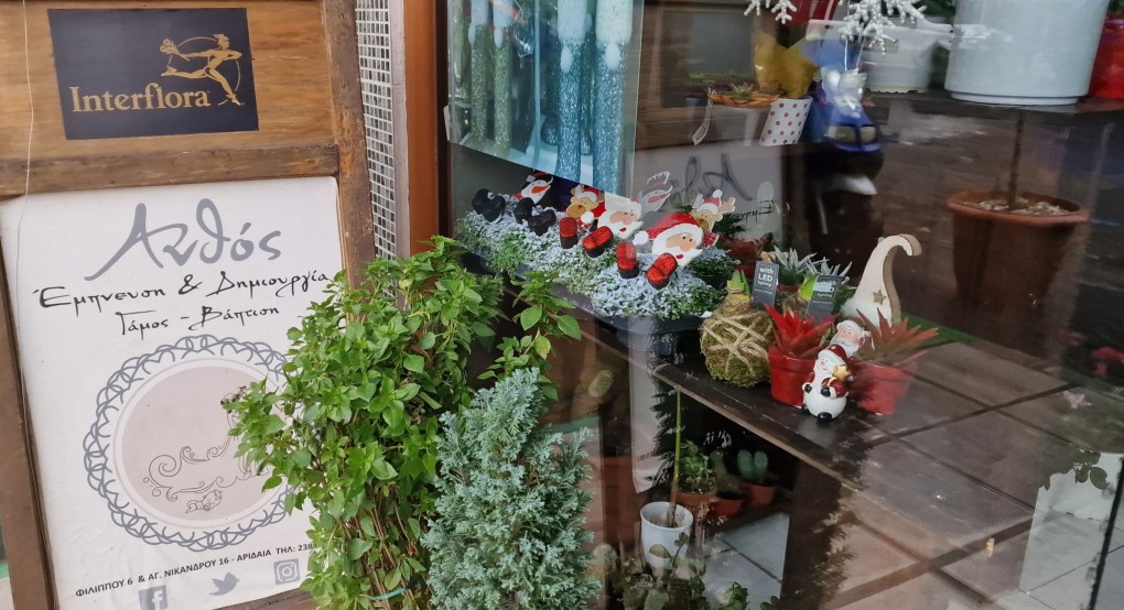 Χριστούγεννα με λουλούδια από τον Ανθό Χριστούγεννα με λουλούδια από τον Ανθό