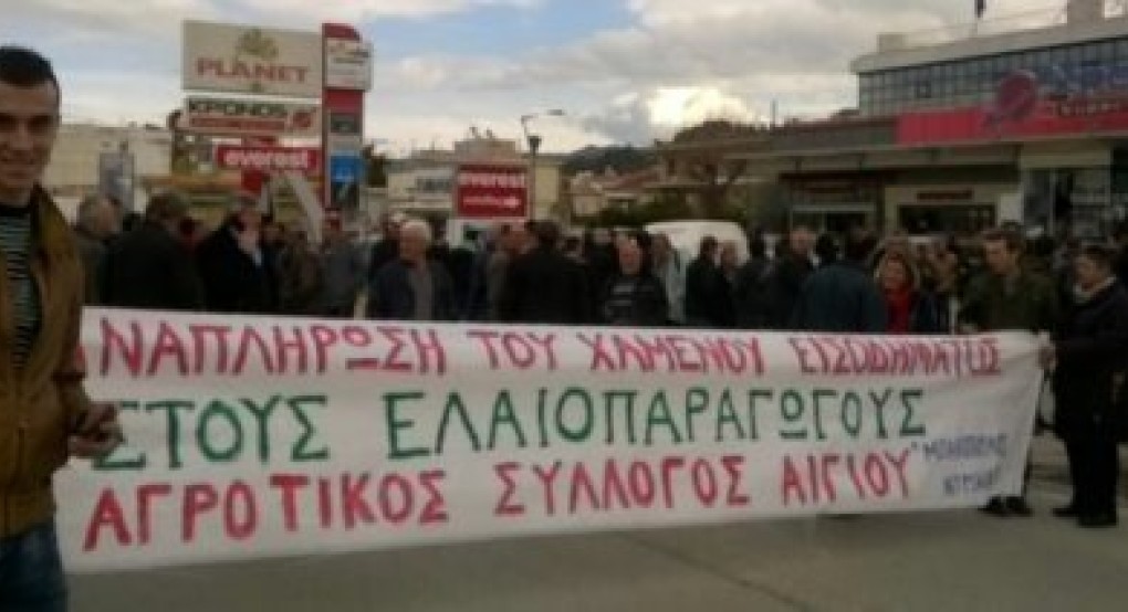 Σε μαζικές κινητοποιήσεις ανά Περιφέρεια στις 7 Δεκεμβρίου οι ελαιοπαραγωγοί για την ακαρπία Σε μαζικές κινητοποιήσεις ανά Περιφέρεια στις 7 Δεκεμβρίου οι ελαιοπαραγωγοί για την ακαρπία