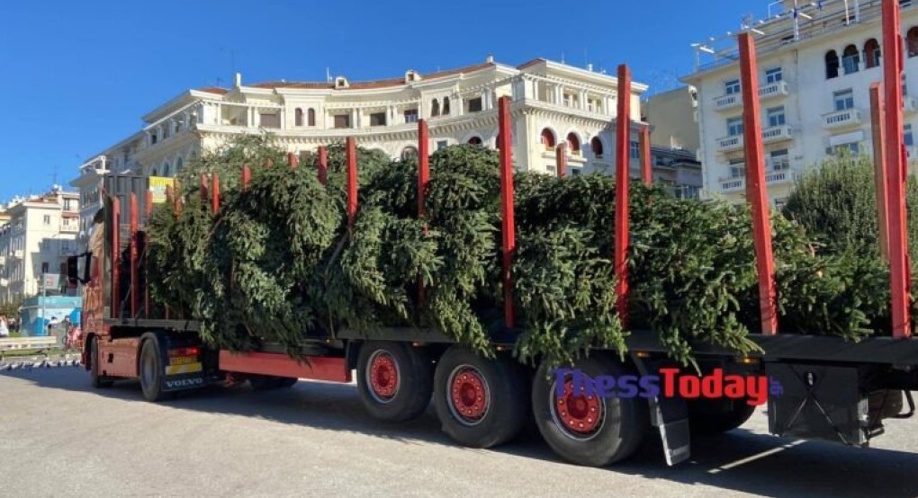Ήρθαν τα Χριστούγεννα στη Θεσσαλονίκη – Έφτασε στην Αριστοτέλους το μεγάλο έλατο Ήρθαν τα Χριστούγεννα στη Θεσσαλονίκη – Έφτασε στην Αριστοτέλους το μεγάλο έλατο