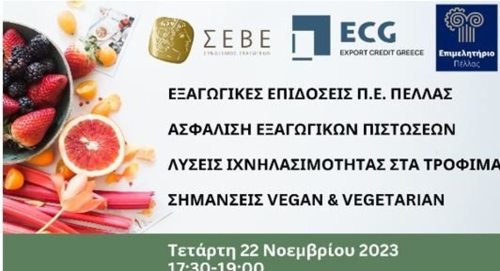 Επιμελητήριο Πέλλας: Ημερίδα με θέμα "Επιχειρηματικά  Εργαλεία για τις  επιχειρήσεις της Πέλλας"