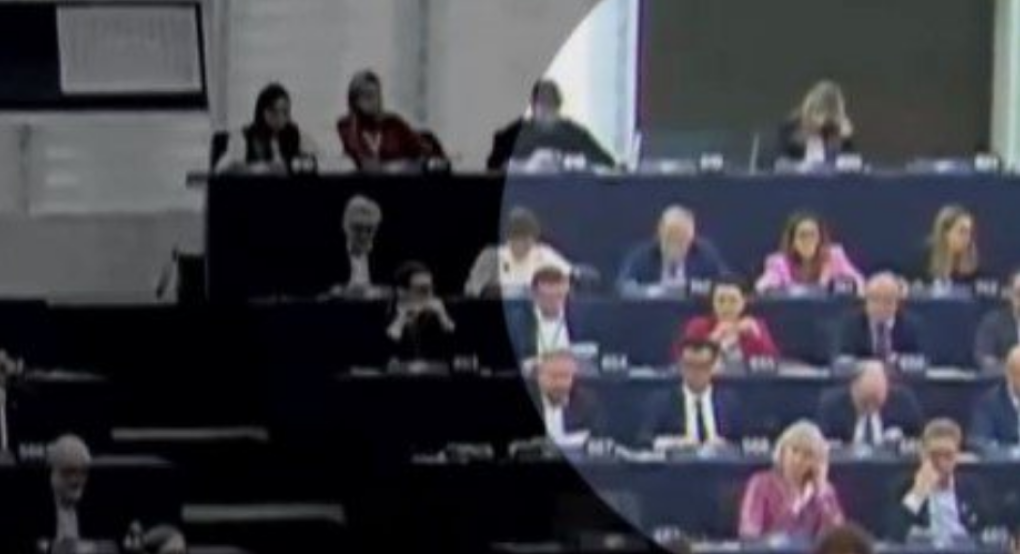 Ευρωβουλή: Καϊλή και Γεωργούλης σε διπλανά έδρανα, χωρίς να ανταλλάξουν κουβέντα