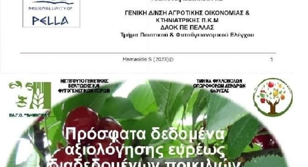 Εκδήλωση για το κεράσι στον Μεγαπλάτανο Αλμωπίας Εκδήλωση για το κεράσι στον Μεγαπλάτανο Αλμωπίας