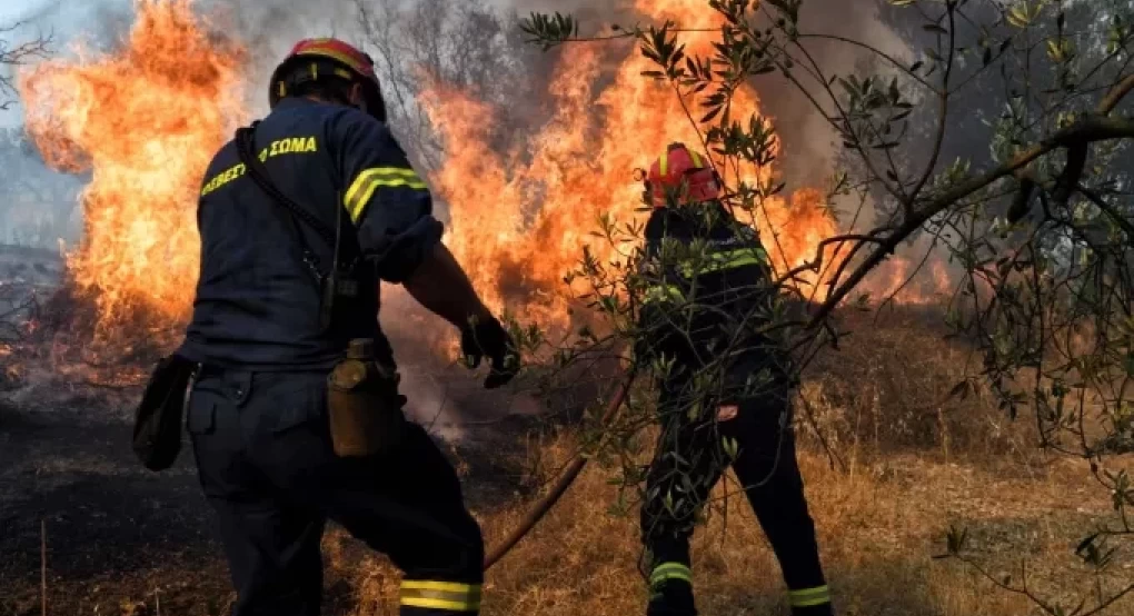 Προσλήψεις 650 δασοκομάντος 7ετούς θητείας στην Πυροσβεστική