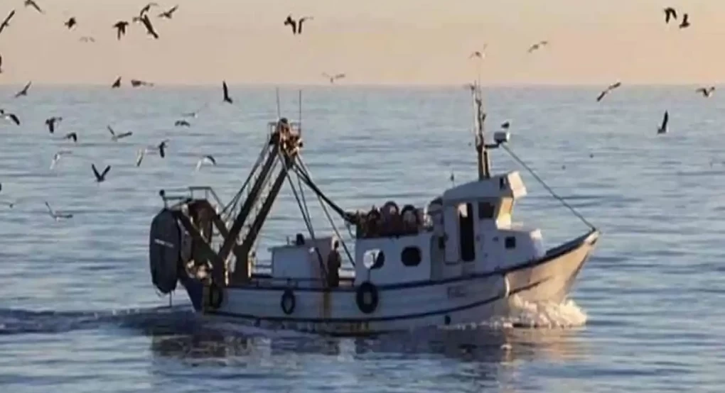 Ανακοίνωση από τη Διεύθυνση Αγροτικής Οικονομίας και Αλιείας της ΠΚΜ σχετικά με την παράταση υλοποίησης επενδυτικών σχεδίων των Δράσεων 4.1.1 και 4.1.3 Ανακοίνωση από τη Διεύθυνση Αγροτικής Οικονομίας και Αλιείας της ΠΚΜ σχετικά με την παράταση υλοποίησης επενδυτικών σχεδίων των Δράσεων 4.1.1 και 4.1.3