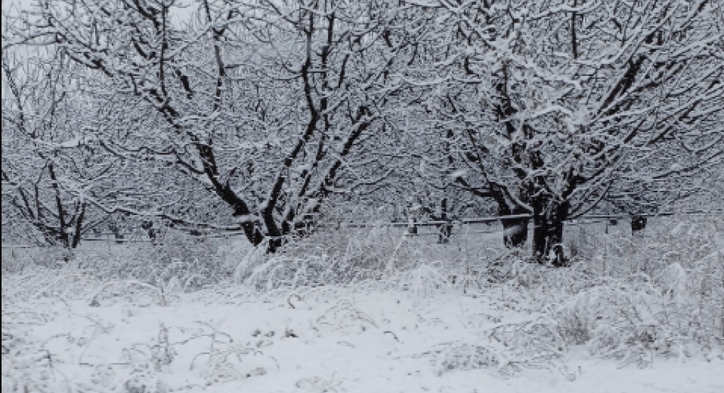 Στο Καϊμάκτσαλαν "φώλιασε" ο χειμώνας - Όμορφο θέαμα αλλά δύσκολο για δουλειά (φώτο, video)