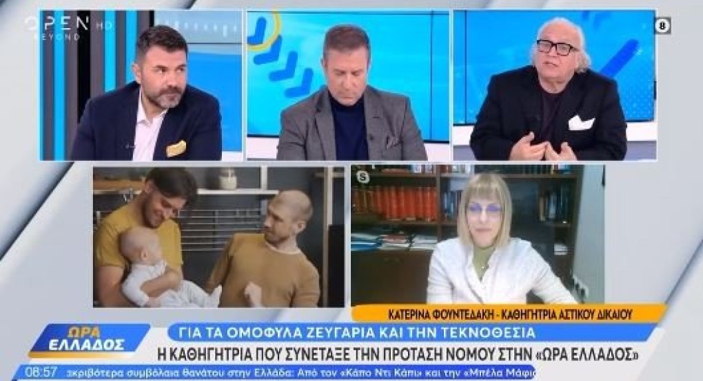 Ομόφυλα ζευγάρια: Καθηγήτρια του ΑΠΘ που συνέταξε τον νόμο διευκρινίζει τι θα ισχύσει για τον γάμο και την υιοθεσία παιδιών