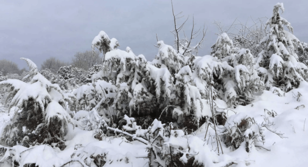 Χιόνια σε τέσσερις περιοχές και τη Δευτέρα – Κρύο, άνεμοι και καταιγίδες έως το βράδυ της Κυριακής